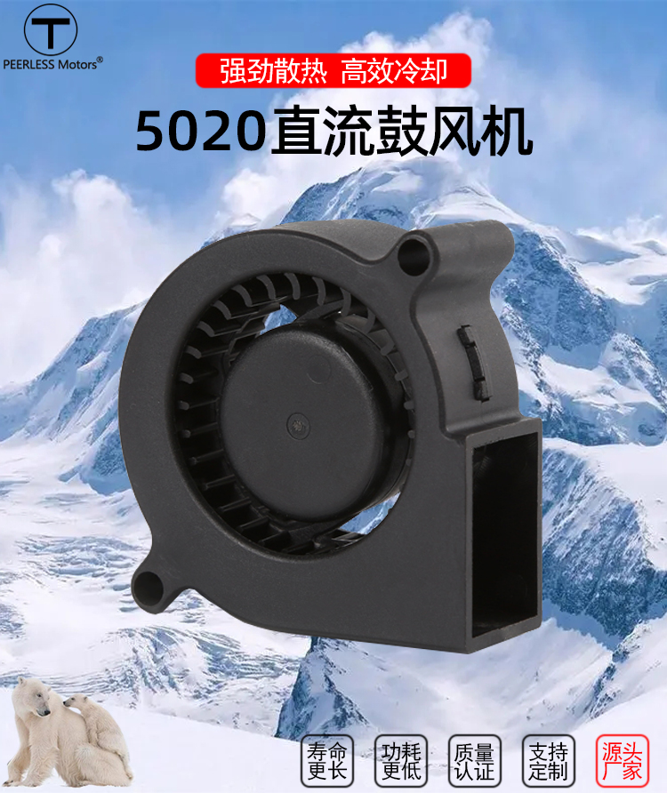 5020直流鼓風(fēng)機(jī)_01.jpg